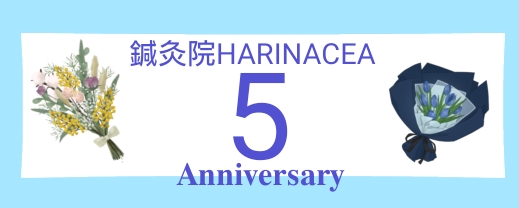 9月はハリナセアのお誕生日