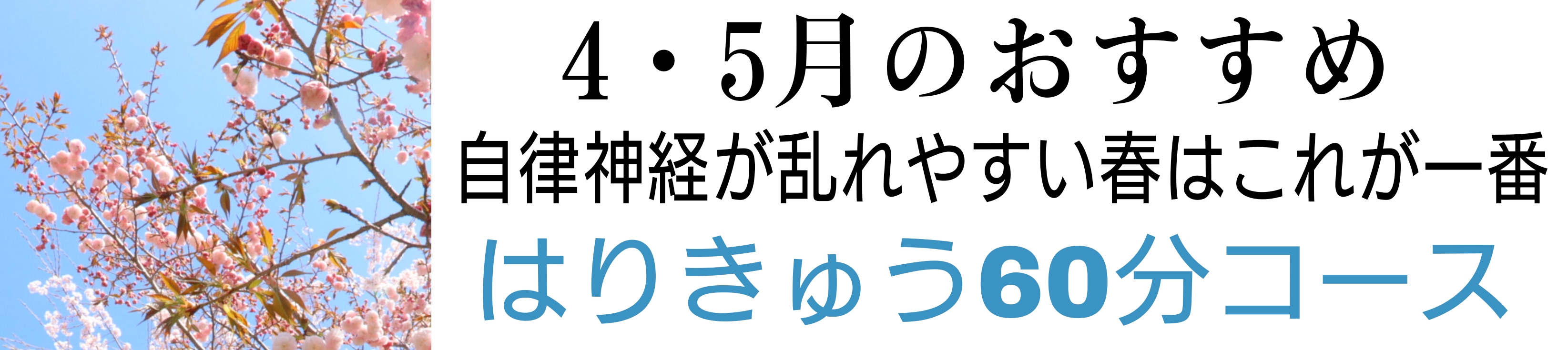 4月5月のおすすめ60分はりきゅうコース